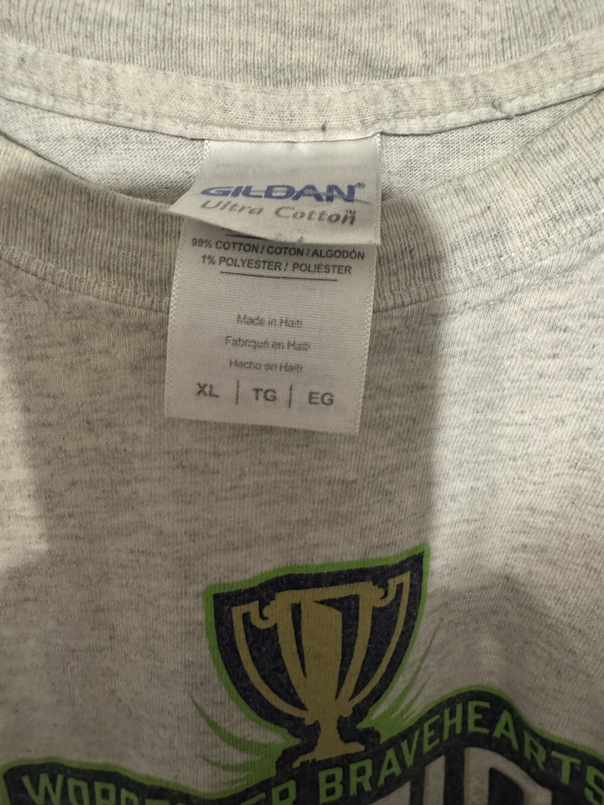 Worcester Bravehearts 2015 Champion t-shirt Gray men size XL