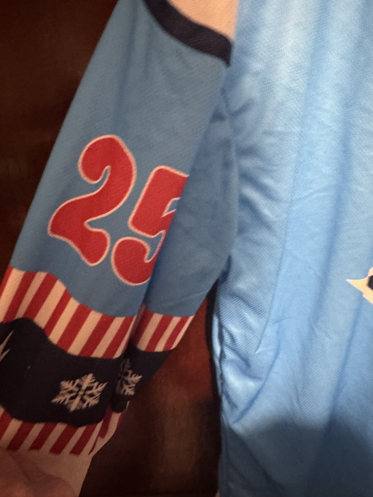 Springfield Thunderbirds Jersey Blue Men's Size XL