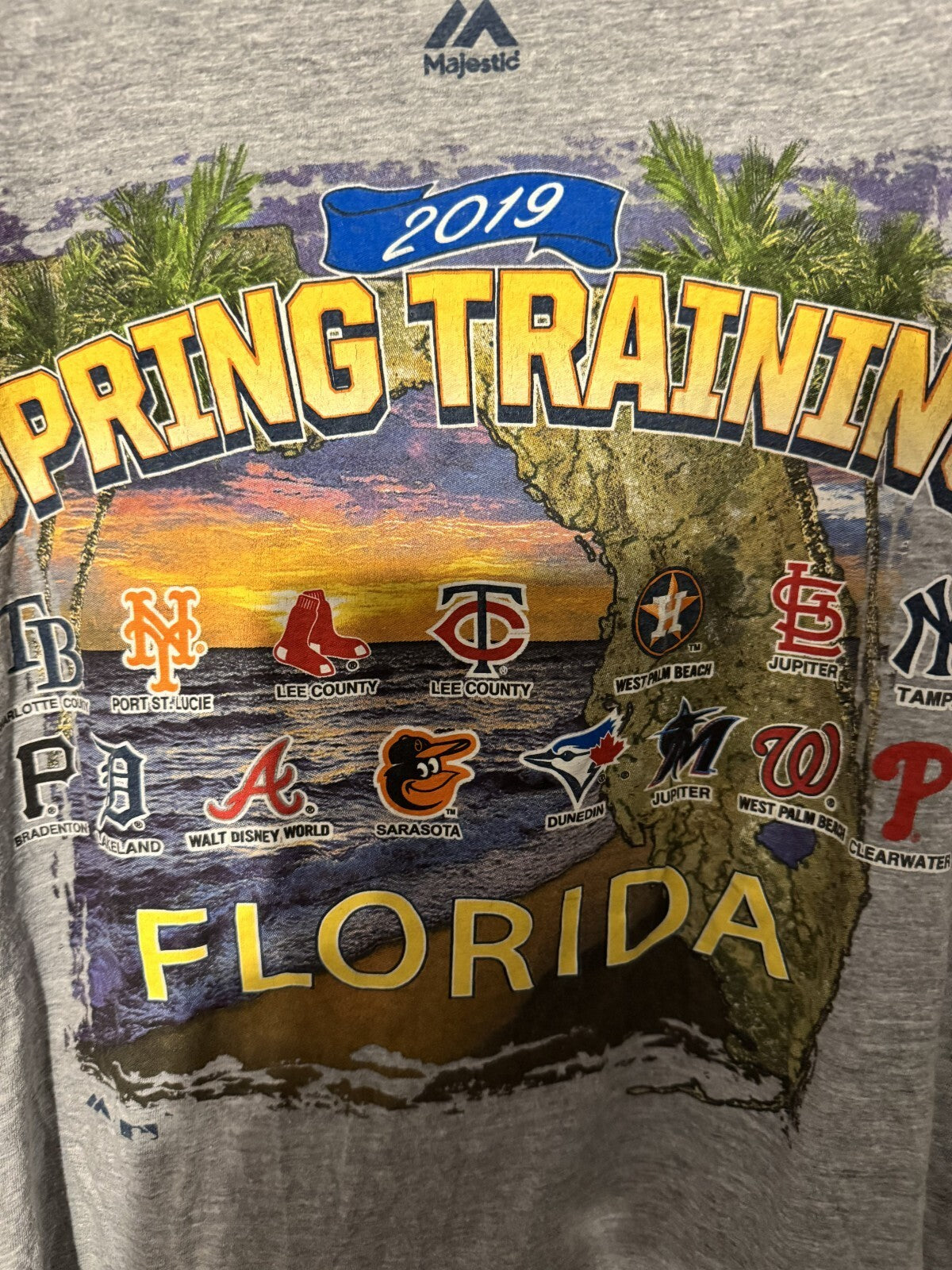 Grapefruit League Majestic 2019 Spring Training T-shirt Gray Men L