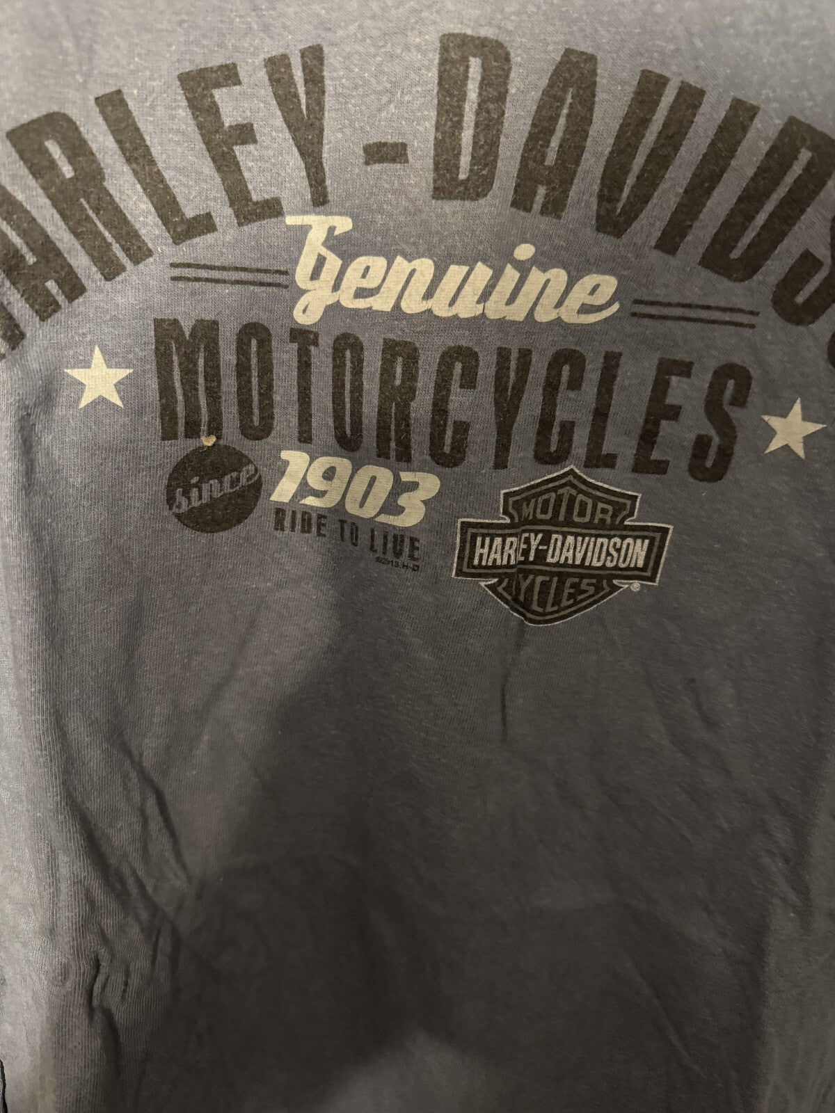 Harley-Davidson of Green Bay Vintage T-Shirt Men Sz XL Blue