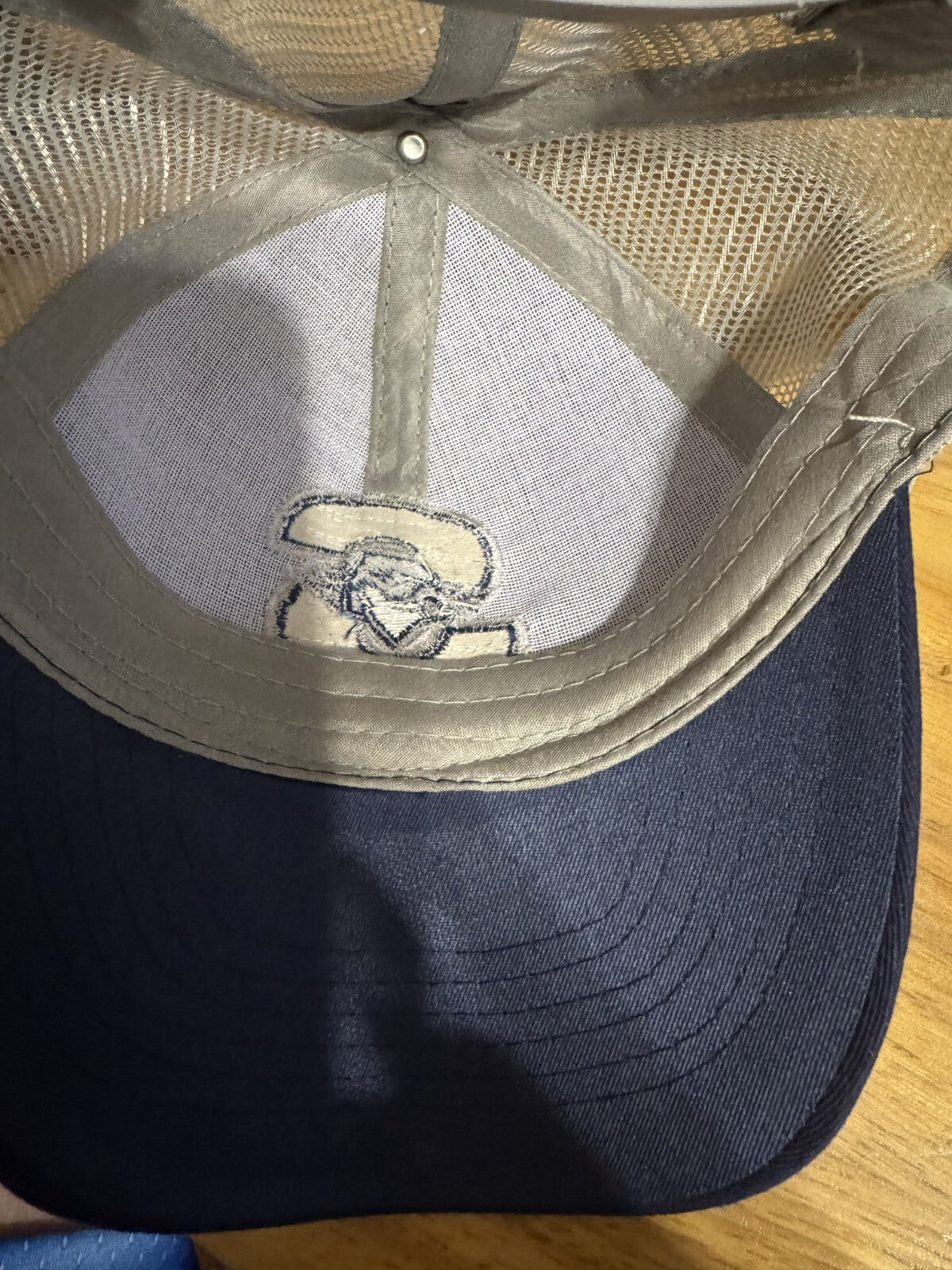 Springfield Thunderbirds Retro Snapback Hat Blue OSFA