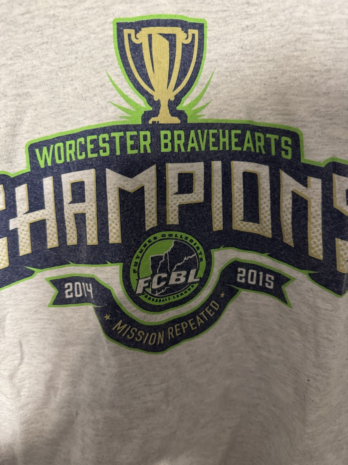 Worcester Bravehearts 2015 Champion t-shirt Gray men size XL