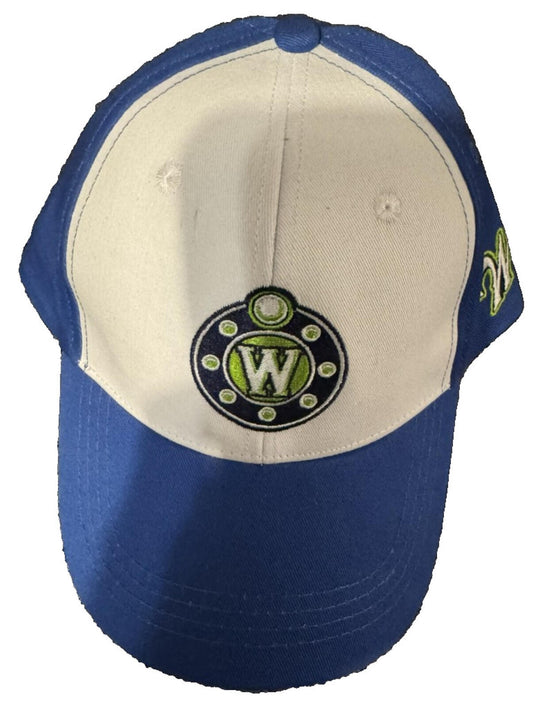 Worcester Railers Worcester Bravehearts Night OSFA Hat Blue ECHL Hockey
