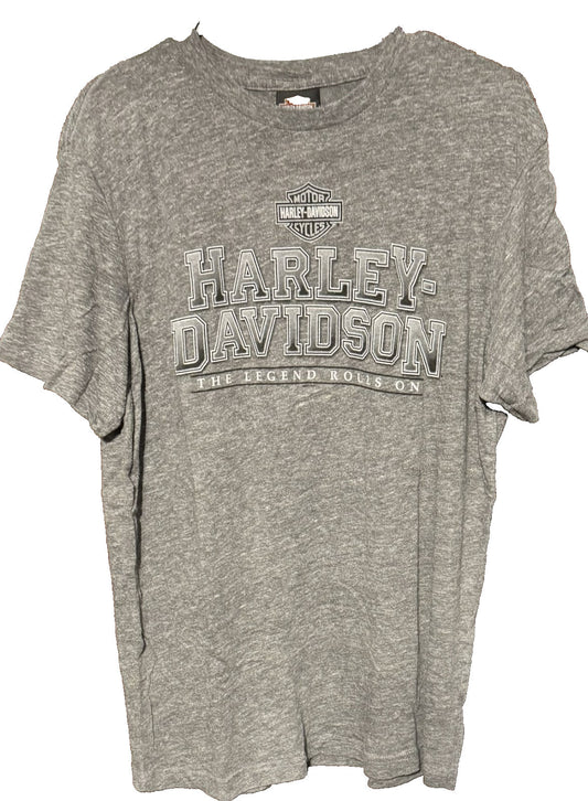 Harley-Davidson Vintage T-Shirt Dublin Ireland Men Sz L Gray