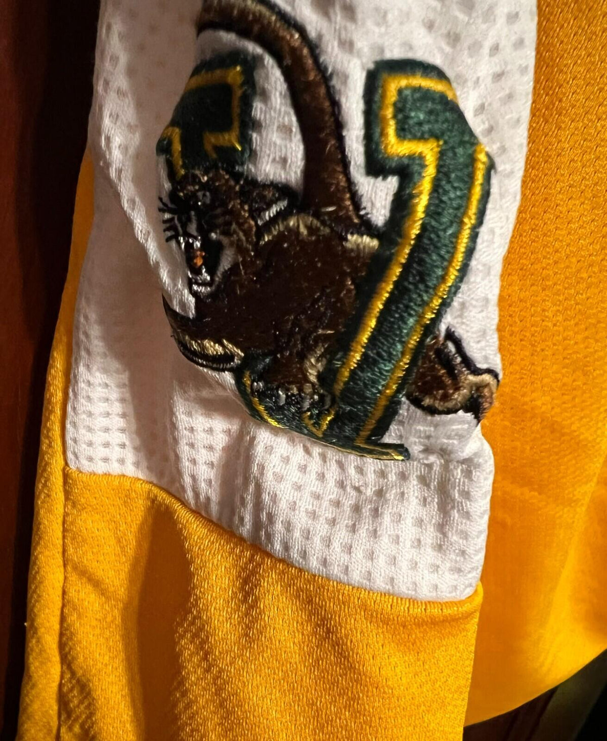 Vermont Catamounts Adidas Shorts Men Size L Yellow