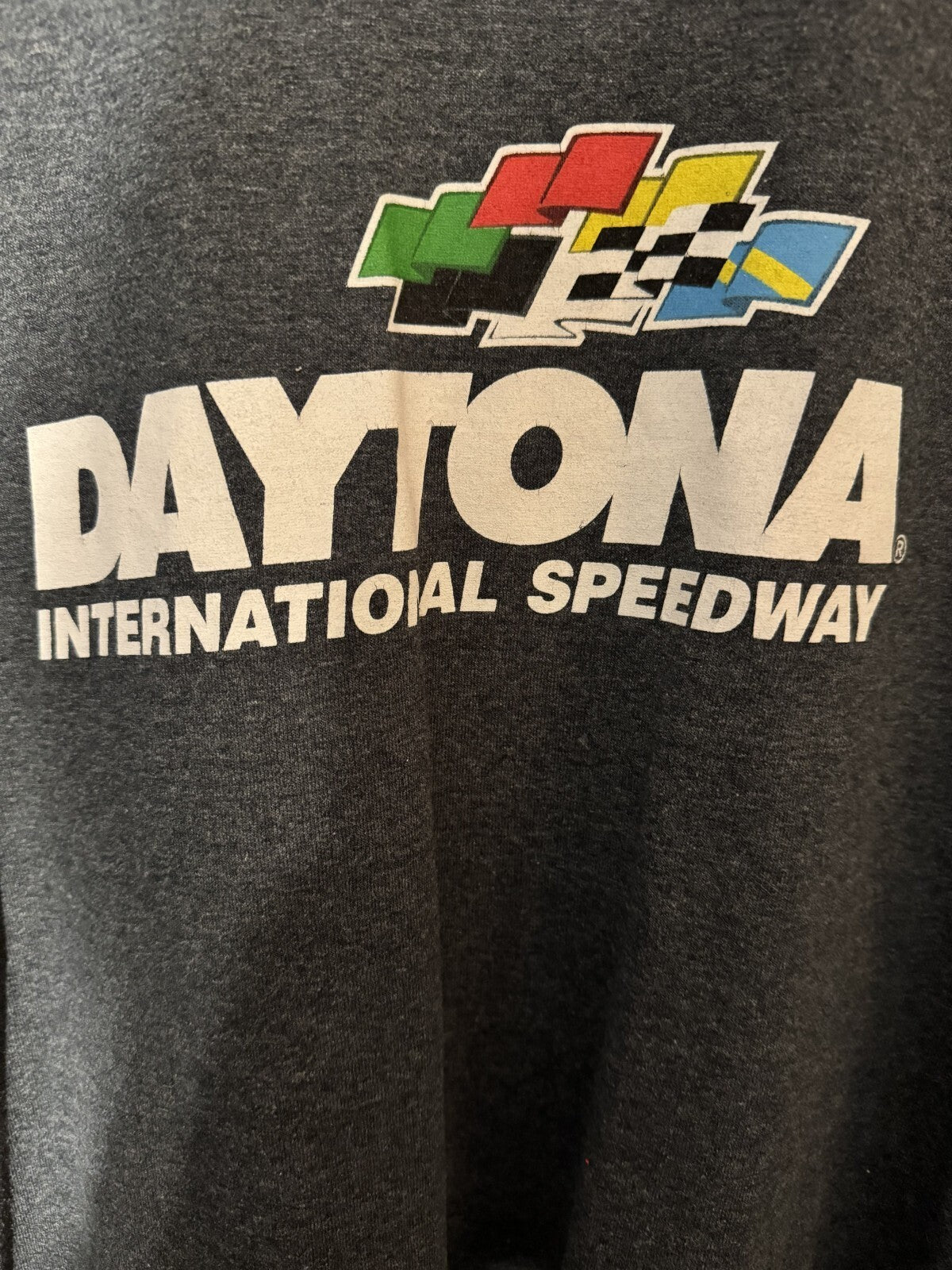 Daytona Speedway NASCAR Vintage T-Shirt Men's Sz XL Gray
