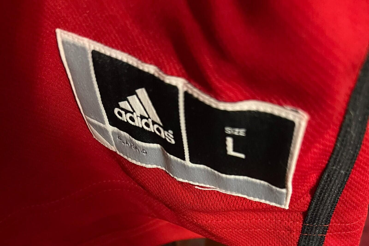 Louisville Cardinals Adidas Men's Basketball Jersey Sz L #31
