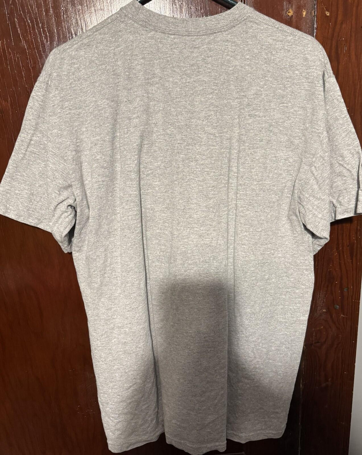 South Carolina Gamecocks Nike 2010 National Champions T-shirt Men's size L Gray