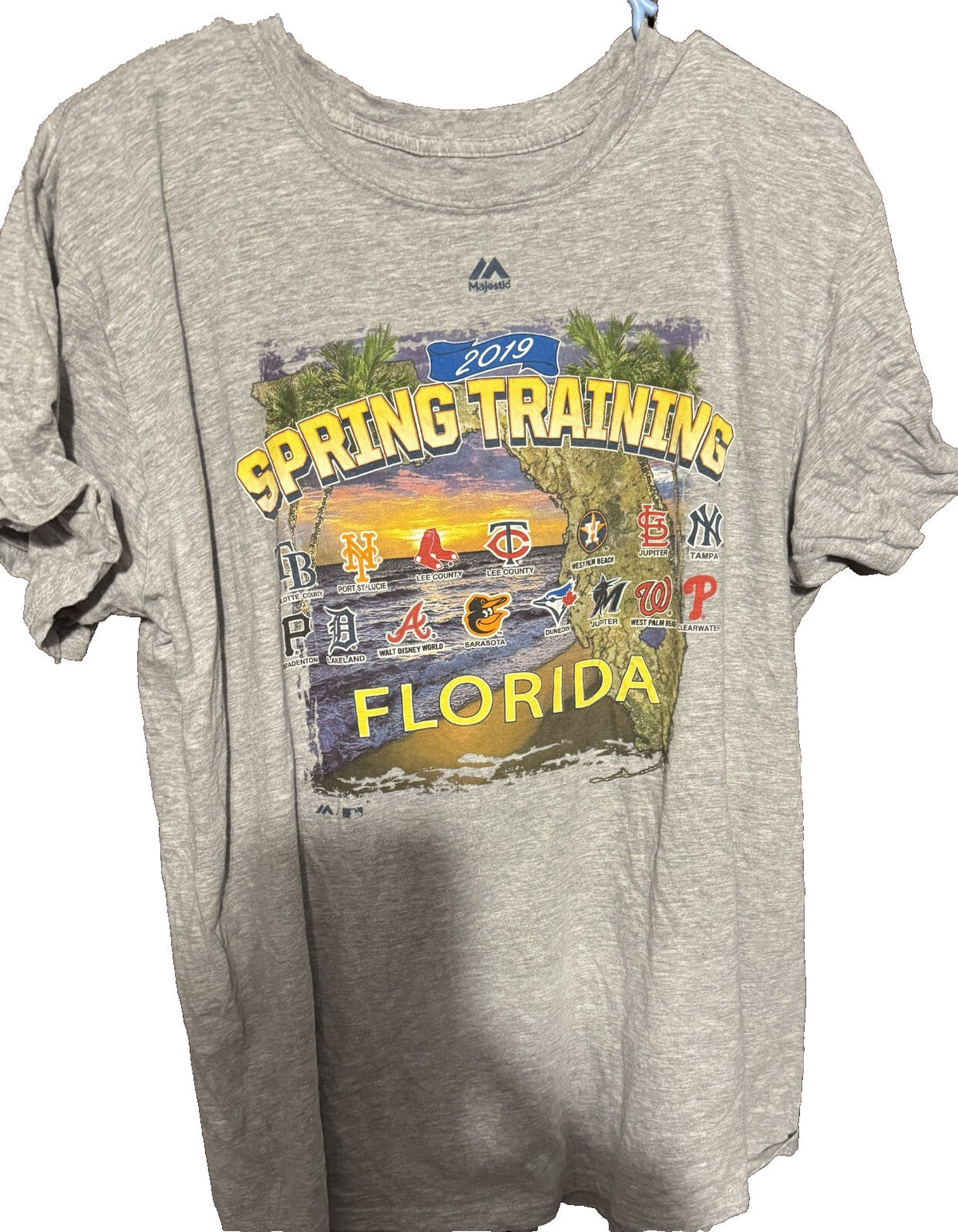 Grapefruit League Majestic 2019 Spring Training T-shirt Gray Men L
