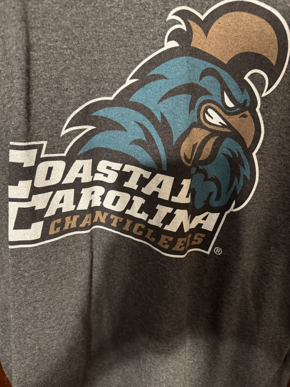 Coastal Carolina Chanticleers T-Shirt Gray NCAA Men Size XL
