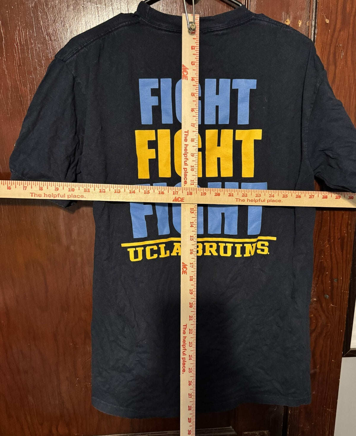 UCLA Bruins Champion T-shirt Men's Sz L (?) Blue