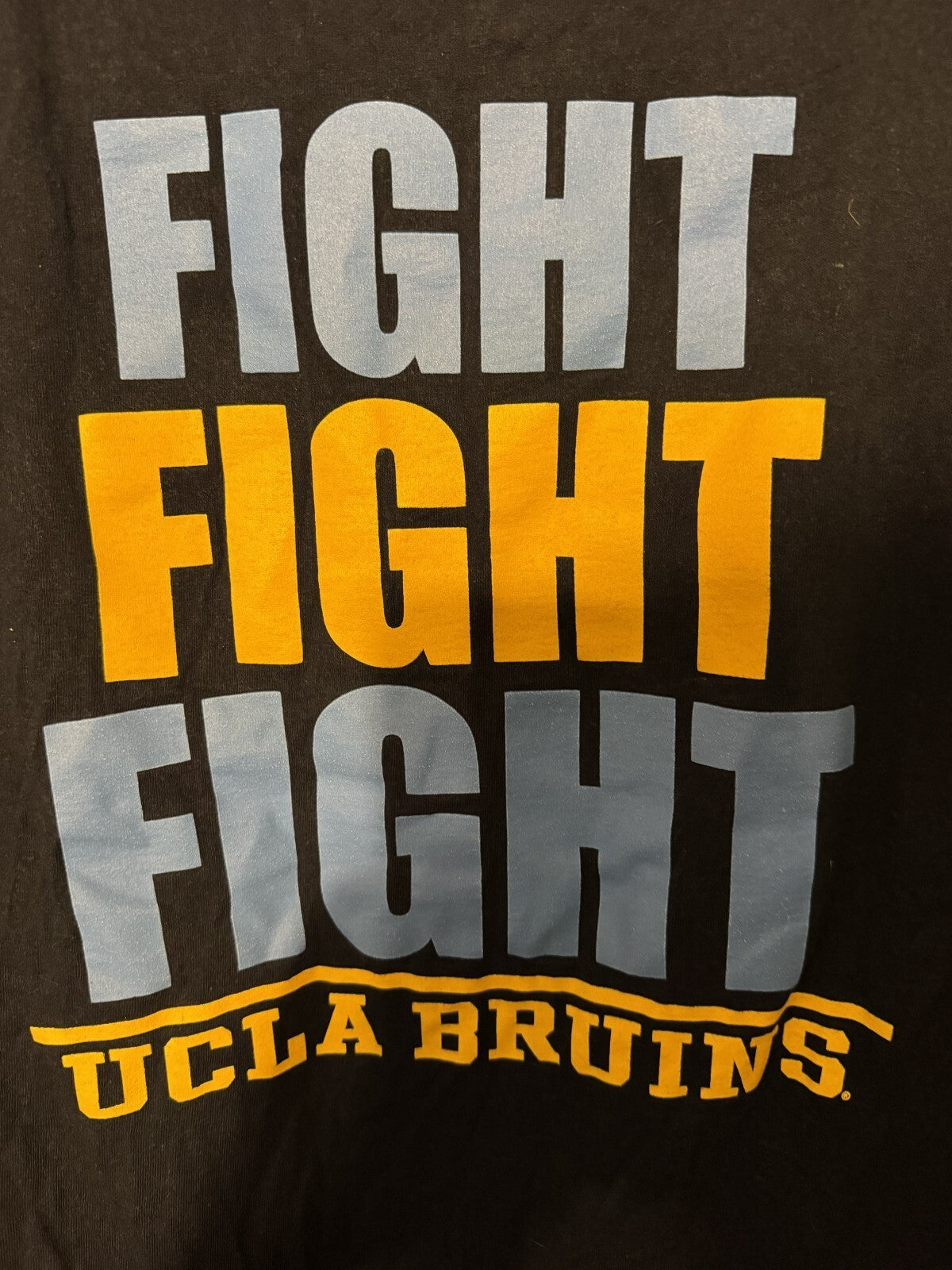 UCLA Bruins Champion T-shirt Men's Sz L (?) Blue