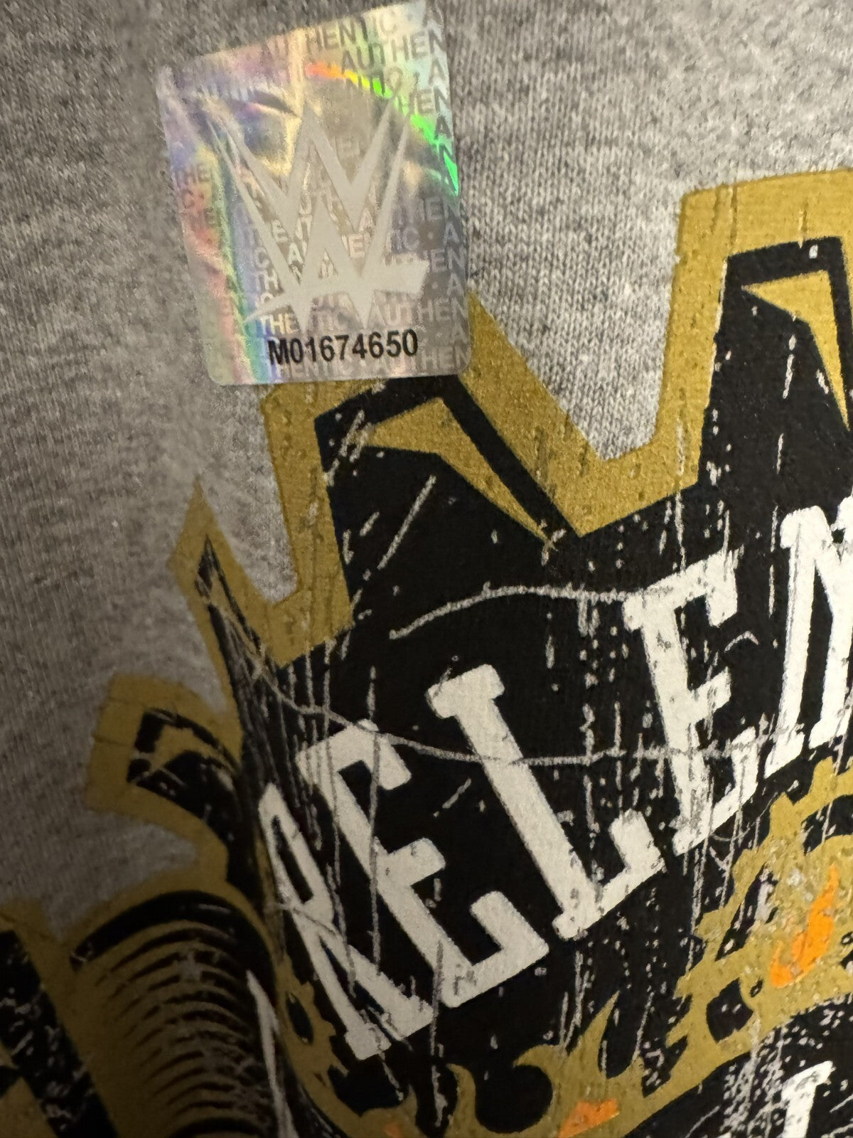 Becky Lynch WWE Authentic Superstar Wrestling Logo Tee Men's Sz 5XL Gray NWOT