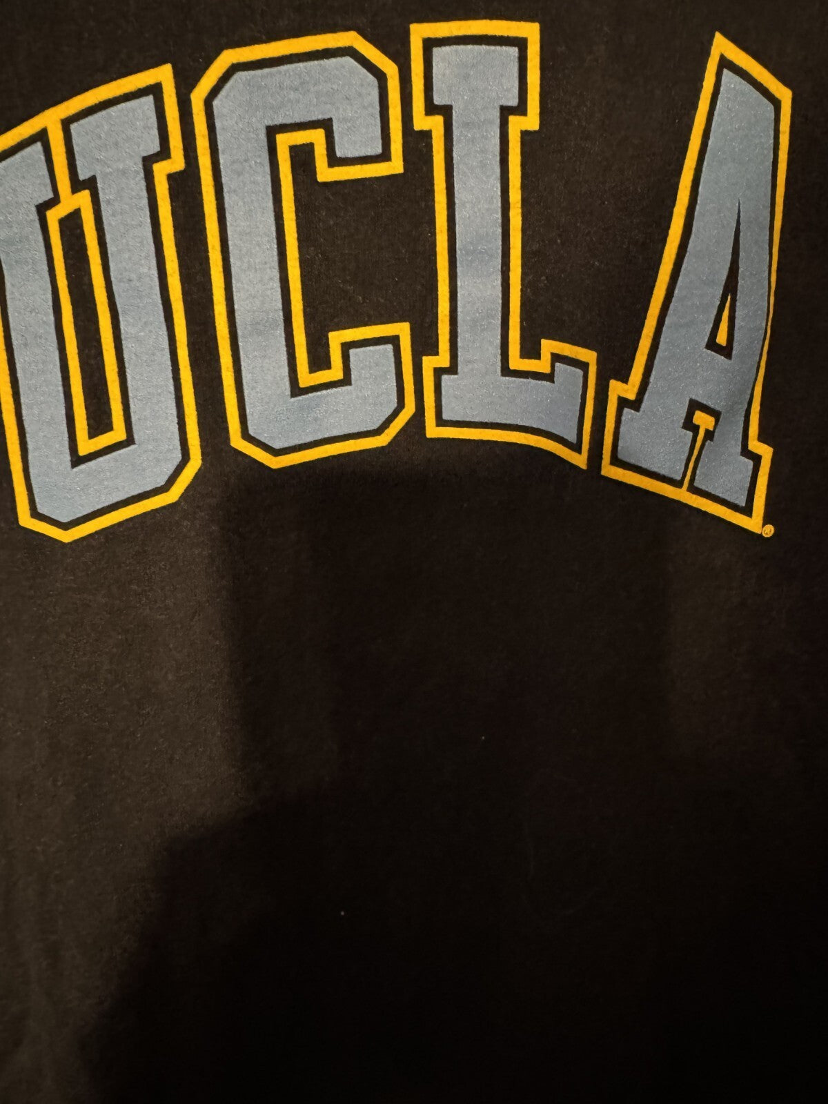 UCLA Bruins Champion T-shirt Men's Sz L (?) Blue