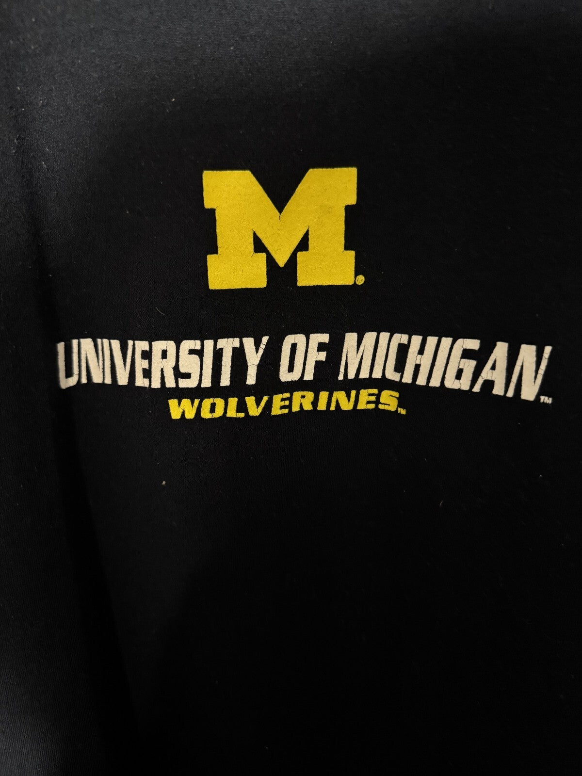 Michigan Wolverines Vintage Champion T-shirt Sz XXL Blue