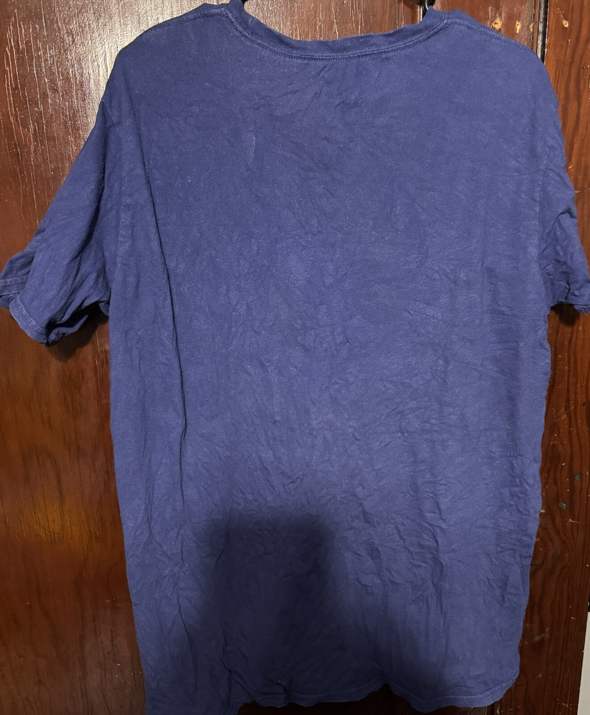 Tampa Bay Lightning Fanatics T-shirt Men's Size L Blue