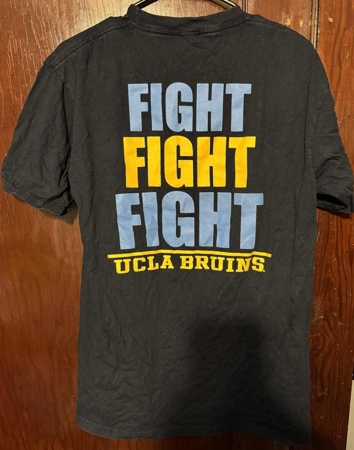 UCLA Bruins Champion T-shirt Men's Sz L (?) Blue